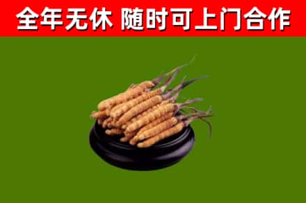 丹寨烟酒回收冬虫夏草.jpg